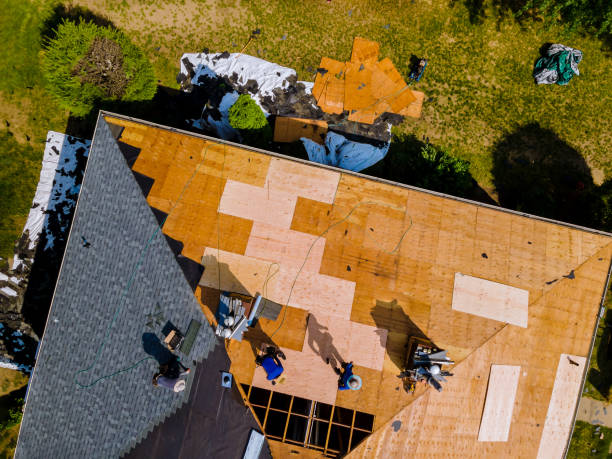 Best Storm Damage Roof Repair  in Clearfield, UT